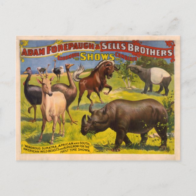 Prekrägh och Sells Wondrous Beaster Circus Poster Vykort (Framsida)