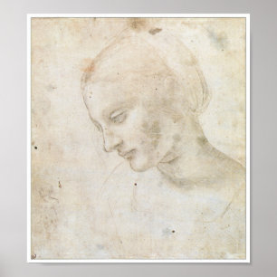 Preliminärt Teckning för "Litta Madonna" Poster