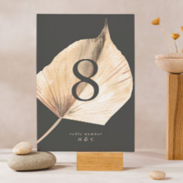 Premium Charcol Cream Pampas Grass Blommigt Bröllo Bordsnummer