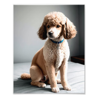 Premium Fine Art Dog Photography for Pet Lovers Fototryck