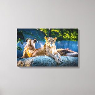 Premium Giclee-lindad arbetsyta Canvastryck