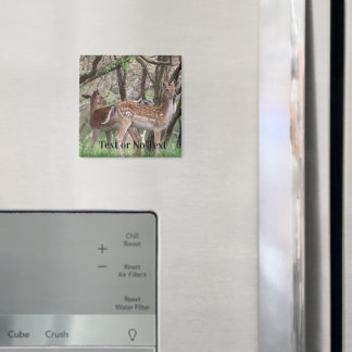 Premium Magnet för Fläckig Hjort Vilda Djur