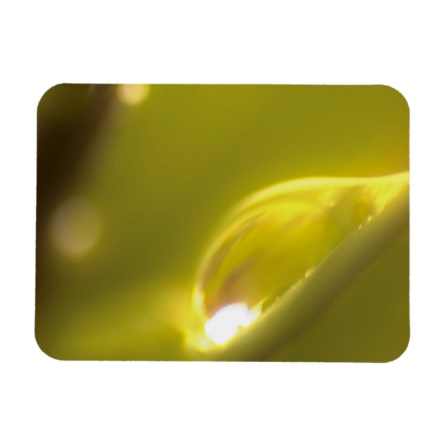 Premium Magnet vatten 3 (Horisontell)