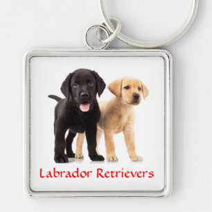 Premium-Nyckelring för Labrador Retriever-valpar Fyrkantig Silverfärgad Nyckelring