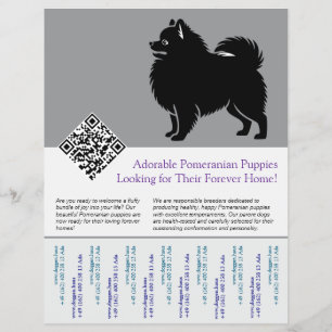 🐾 Premium Pomeranian Valpar Tillgängliga Nu blå Reklamblad