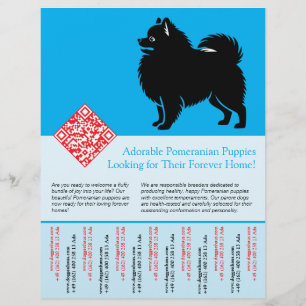 🐾 Premium Pomeranian Valpar Tillgängliga Nu blå Reklamblad
