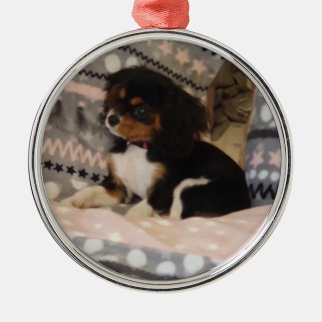 Premium Round Ornament (Framsidan)