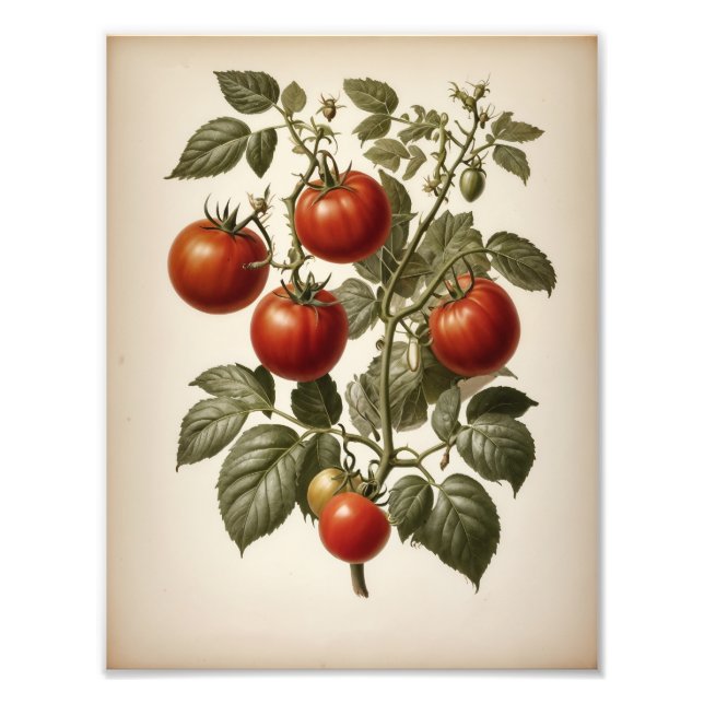 Premium Satin Photo Paper Photo Enlargement Fototryck (Framsidan)