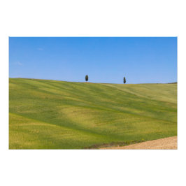 Premium Satin Photo Paper Photo Enlargement Fototryck