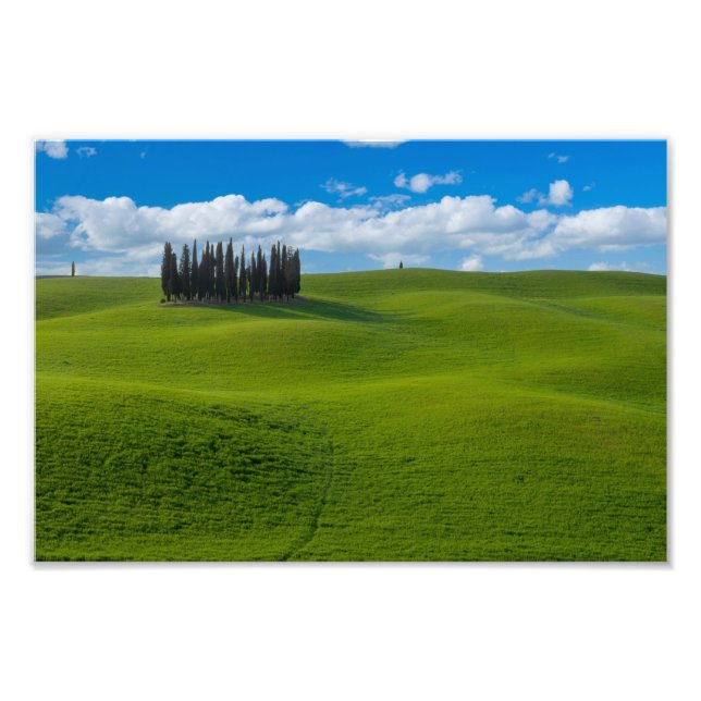 Premium Satin Photo Paper Photo Enlargement Fototryck (Framsidan)