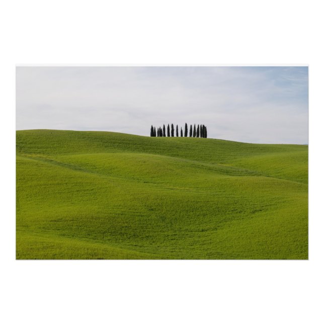 Premium Satin Photo Paper Photo Enlargement Fototryck (Framsidan)