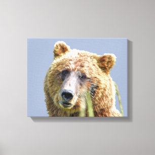 Premium Wrapped Canvas 11 x 14 grizzly björn