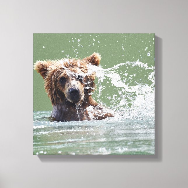 Premium Wrapped Canvas 12x12 w/ grizzly björn unge (Framsida)
