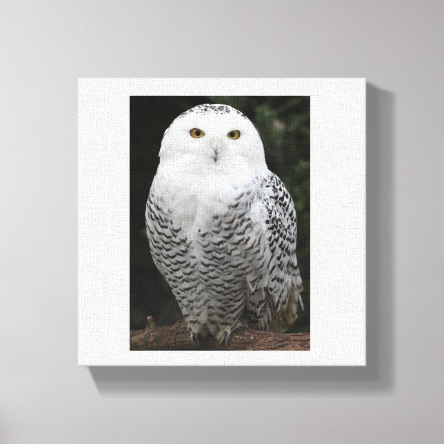 Premium Wrapped Canvas (glapp) (Framsida)