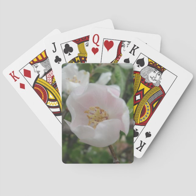 Prenhetspokeruppspelningskort Spel Kort (Baksidan)