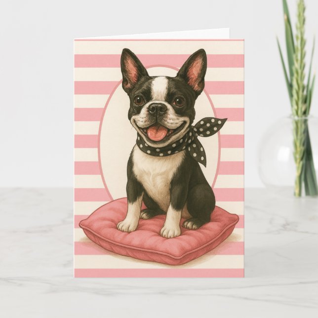 Preppy Boston Terrier Kort (Framsida)