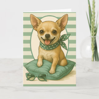Preppy Chihuahua Kort