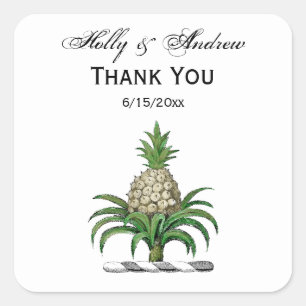 Preppy Heraldic Pineapple Jackar Arm Vapensköld Fyrkantigt Klistermärke