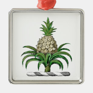 Preppy Heraldic Pineapple Jackar Arm Vapensköld Julgransprydnad Metall