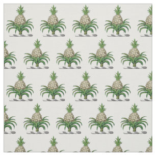Preppy Heraldic Pineapple Jackar Arm Vapensköld Tyg