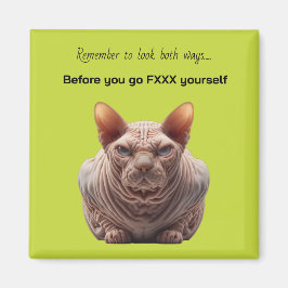 Present till fd magnet
