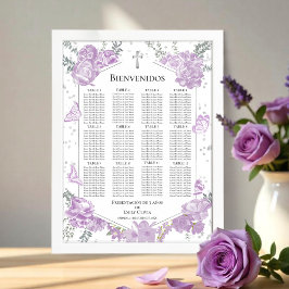 Presentación 3 años Sittplatsdiagram, Fjärilar Poster