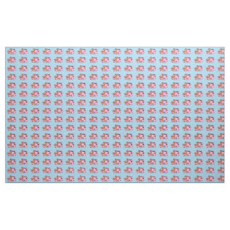 Presentation av Teddy! Tyg