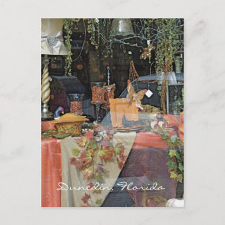 Presentbutiksfönster - Dunedin Vykort