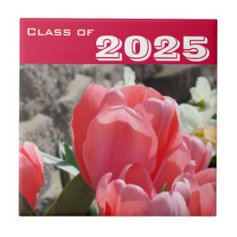 Presentklass Examensplattor Konst Rosa Tulpaner Kakelplatta