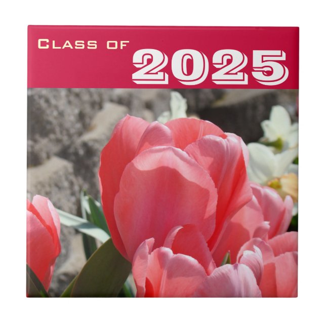 Presentklass Examensplattor Konst Rosa Tulpaner Kakelplatta (Framsidan)