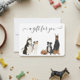 Presentkort Hundvård Djur Veterinär Inackordering