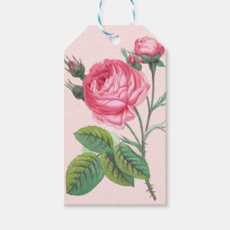 Presentkort med rosa rosblomma presentetikett