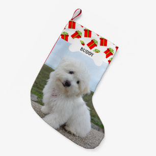 Presentlådor Mönster Hundben Husdjur Foto Liten Julstrumpa