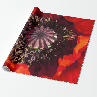 Presentpapper Orange Vallmo