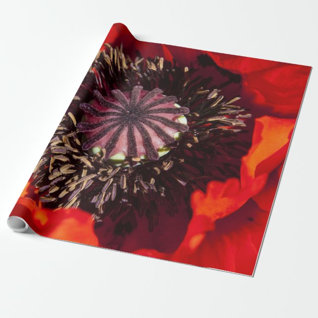 Presentpapper Orange Vallmo (Utrullad)