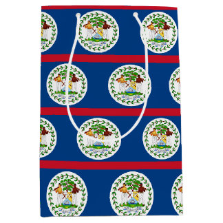 Presentpåse med Belize flagga