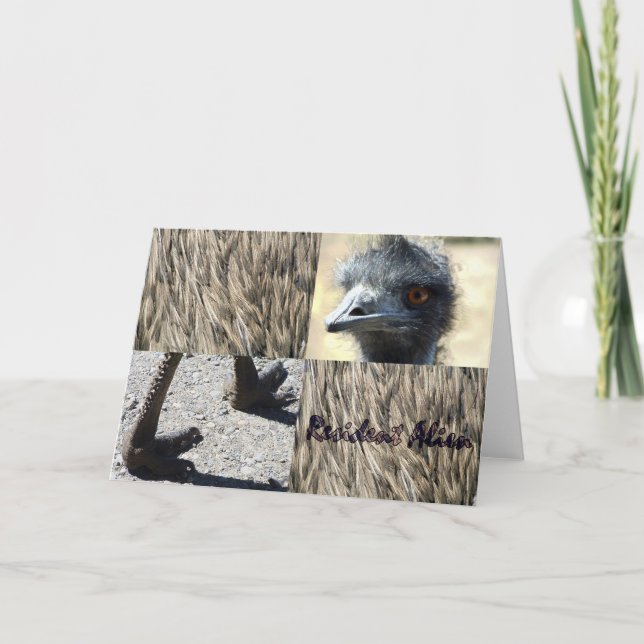 President Alien Kort (Framsida)