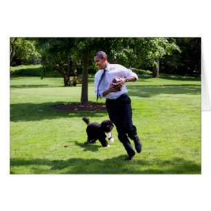 President Barack Obama & Bo Hälsningskort
