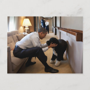 President Barack Obama med Bo Vykort
