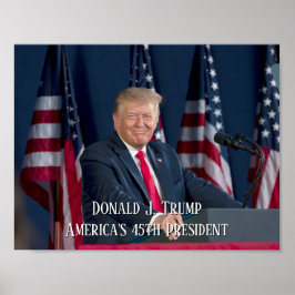 President Donald J. Trump Mt Rushmore Tal Poster