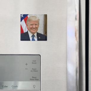 President Donald Trump 2017 Officiell Porträtt Magnet