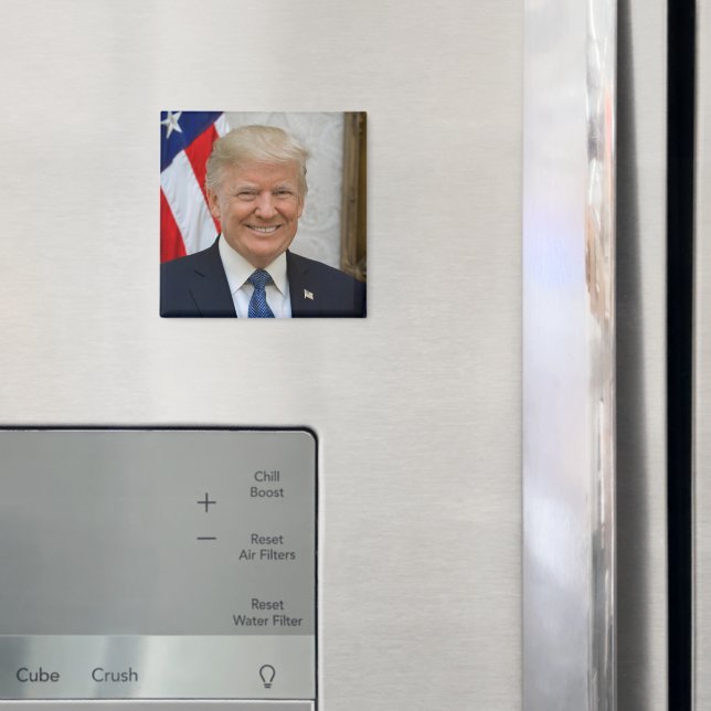 President Donald Trump 2017 Officiell Porträtt Magnet (In Situ (Fridge))