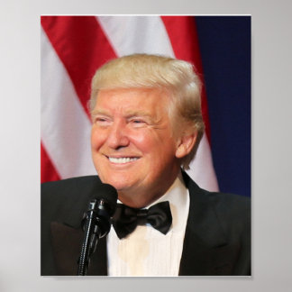 President Donald Trump vid hans invigning Poster