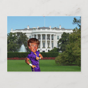President Donald-trump Vykort