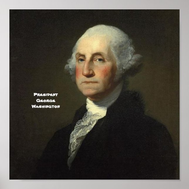 President George Washington Poster (Framsidan)
