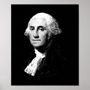 President grafiska George Washington Poster