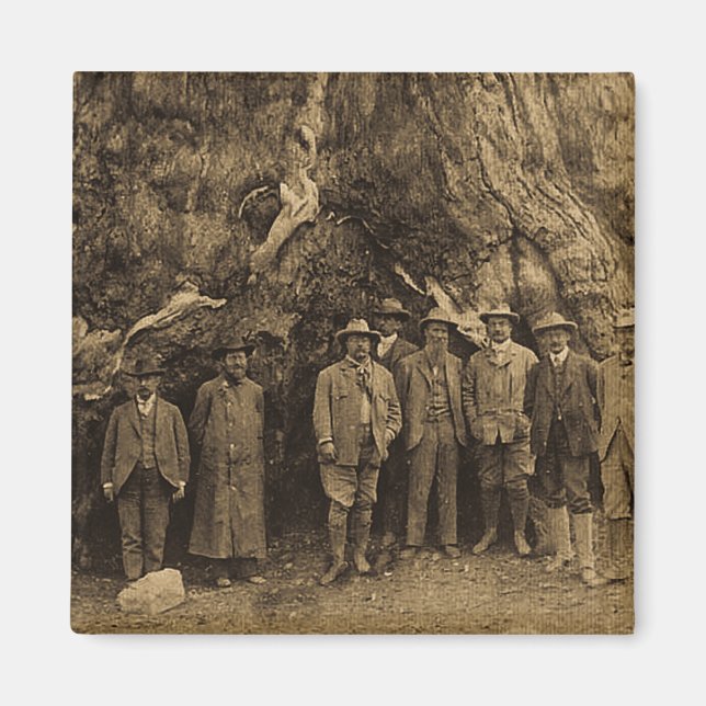 President Roosevelt och John Muir 1903 (Sepia) Magnet (Framsidan)