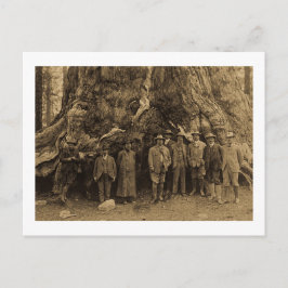 President Roosevelt och John Muir Beneath (Sepia) Vykort