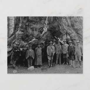 President Roosevelt och John Muir California 1903 Vykort