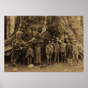 President Roosevelt och John Muir California Sepia Poster
